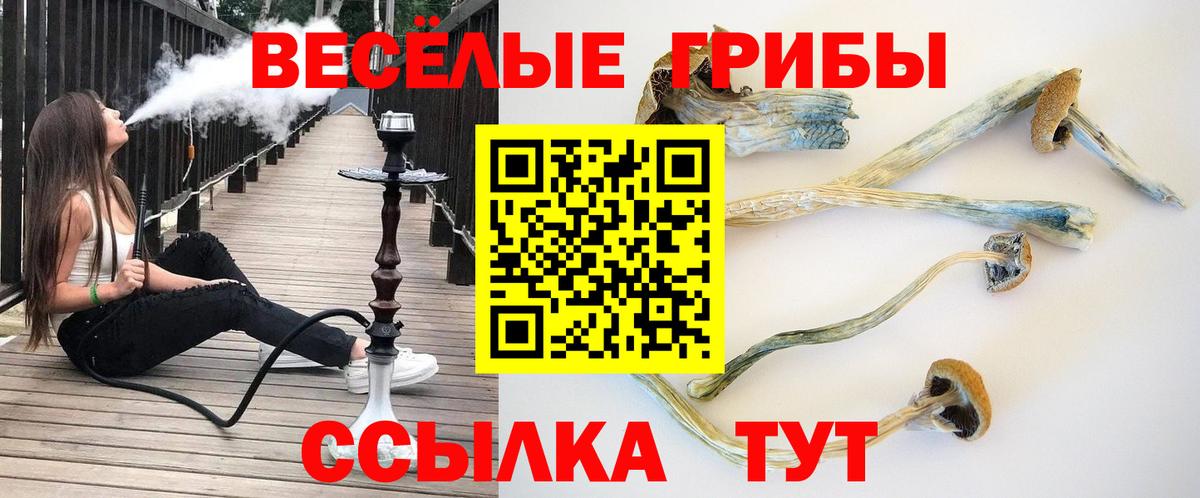 Галлюциногенные грибы Magic Shrooms  Галлюциногенные грибы ЛСД  Нефтекамск  Вход с VPN 